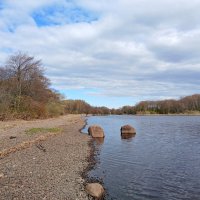 Берег Финского залива. :: Лия ☼