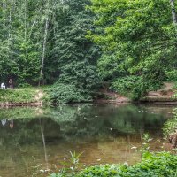 лесное озерцо с утятами :: Валентина. .