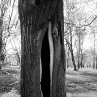 Старые раны :: Наталья Герасимова