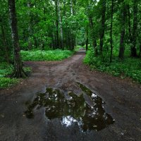 Не самая солнечная часть июня :: Андрей Лукьянов