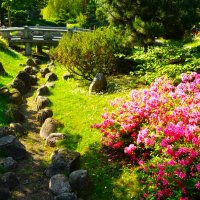 Прогулки по Японскому саду Кадриорга :: Aida10 