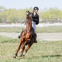 Конкур :: SanSan 