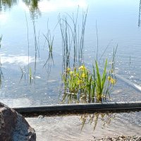 парк Малевича :: Галина R...