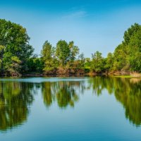 Заводь :: Петр 