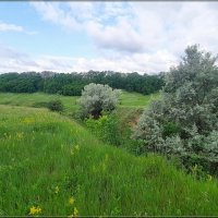 Дни Летнего Солнцестояния :: Сеня Белгородский Дни Летнего Солнцестояния :: Сеня Белгородский