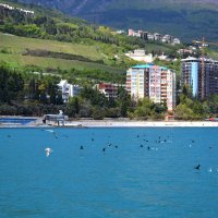 Гурзуфский берег :: Ольга 