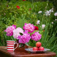 *** :: Анатолий Нецепляев