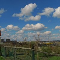 . :: Александр Хоменко