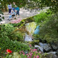 Уголок рая - парк Кекехоф :: Валерий Готлиб Уголок рая - парк Кекехоф :: Валерий Готлиб