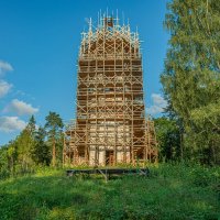 Чудеса в глубинах лесов :: Александр Филатов
