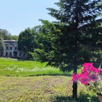 Прогулка по Шуваловскому парку. :: Ольга Прогулка по Шуваловскому парку. :: Ольга