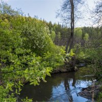 Речка Сюксюмка :: **** vedin