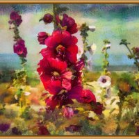 Мальва :: Анатолий Чикчирный Мальва :: Анатолий Чикчирный