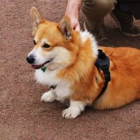 /// :: Виктор Никитенко