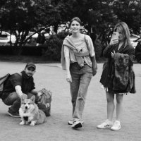 /// :: Виктор Никитенко /// :: Виктор Никитенко