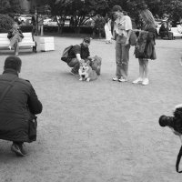 /// :: Виктор Никитенко