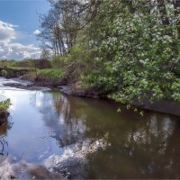 Речка Сюксюмка :: **** vedin