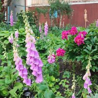 ,,, :: Сергей Тимоновский