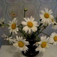 Букет из ромашек :: Елена Семигина