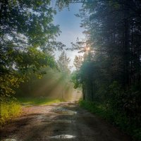 После дождика :: Sergei Vikulov