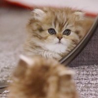 Малыш. :: Оля Богданович