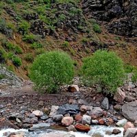 ПО ГОРАМ. :: Виктор Осипчук