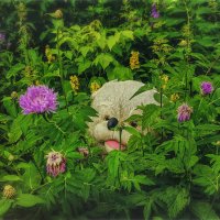 Спасити..! Памагити..! Тануу..! :)) :: AZ east3