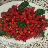 Talgar. :: Murat Bukaev 