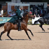 Международная конная выставка "Иппосфера" 2025 :: Николай Международная конная выставка "Иппосфера" 2025 :: Николай