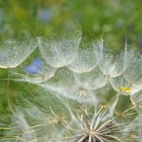 На старте... :: Надежда Куркина На старте... :: Надежда Куркина