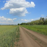 Мои дороги. :: Виктор 