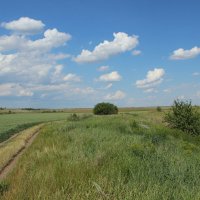 Мои дороги. :: Виктор 