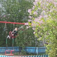 А у нас во дворе :: Марина Кушнарева