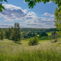 Палитра июня... :: Владимир Жданов