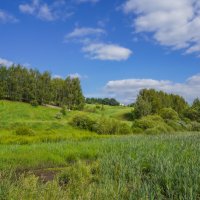 Под небом июня... :: Владимир Жданов