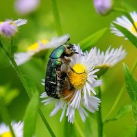 из снятого позавчера 1 :: Александр Прокудин из снятого позавчера 1 :: Александр Прокудин