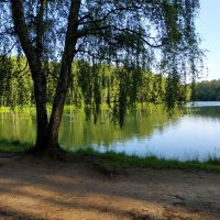 * * * :: Андрей Лукьянов