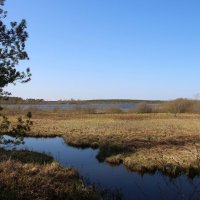 Токсово :: Наталья Герасимова Токсово :: Наталья Герасимова