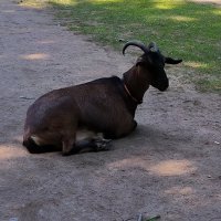 В парке. :: Ольга 