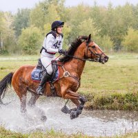 Кросс :: SanSan 