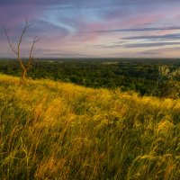 Летний вечер :: Игорь Сикорский