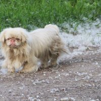 Случайные встречи :: Любовь Сахарова