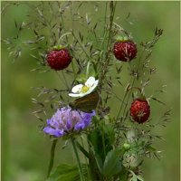 +++ :: Aleksandr Gal