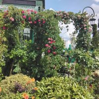 Арки из цветов на площади Тверской :: Дмитрий Никитин