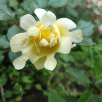 ,,, :: Сергей Тимоновский ,,, :: Сергей Тимоновский