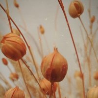 ... :: Станислав Мутовин