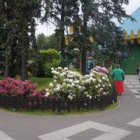 Диво остров :: zavitok * Диво остров :: zavitok *