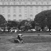 /// :: Виктор Никитенко