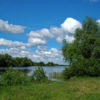 ... :: Елена Пономарева