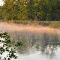 Утренняя нега.... :: Надежда Куркина 